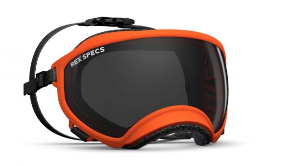 Rex Specs V1 Vorführbrille gebraucht
