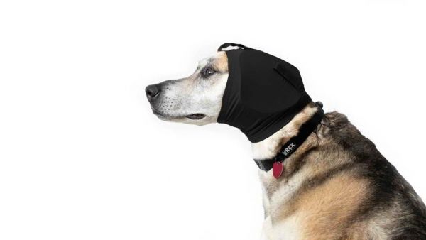 Hundegehörschutz Ear Pro - Rückläufer