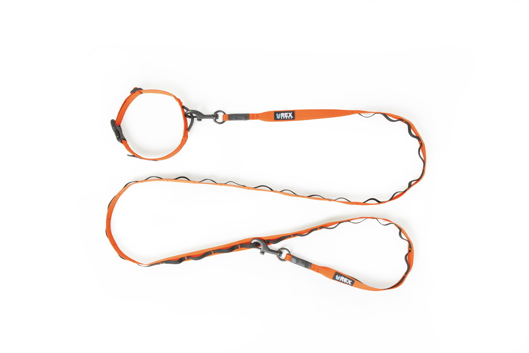 Trailhead-Leash-Collar-Combo-Dual-Snap-Bandit-Orange